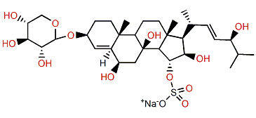 Aphelasteroside B